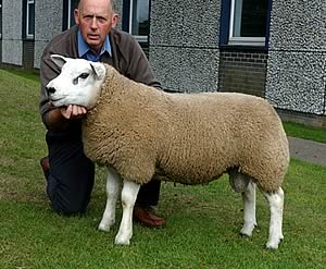 Newhill Major made 110,000gns 