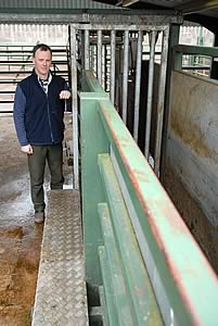 cattle handling facility