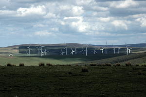 wind farm