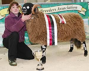 Alison Haygarth with the Skipton Dalesbred ram champion.