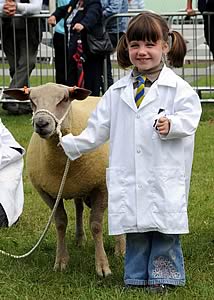 A young competitor in a sheep handling class at the 2009 Great Yorkshire Show