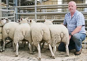 Robert Towers with his Skipton July prime lamb champions, his fourth consecutive success
