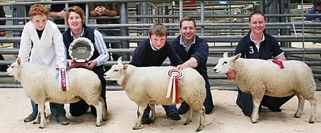 Skipton young farmers prime lamb show