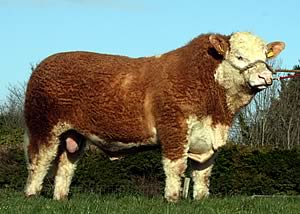 Clonagh A Super Star