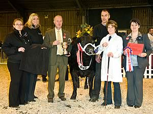 East of England Winter Stock Festival