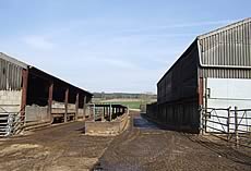 livestock gathering area
