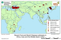 Foot and Mouth Disease (FMD)