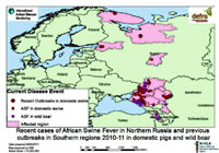 African Swine Fever (ASF)