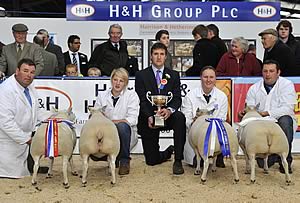Supreme Sheep Champions