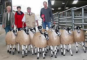 Skipton Mule gimmer lamb champions