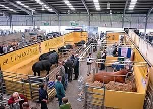 Beef Expo