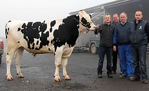 Rossigh Shottle Minstrel