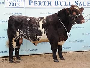 Chapelton Dauphin