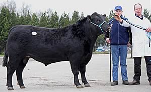 Kiltariff Duke K326