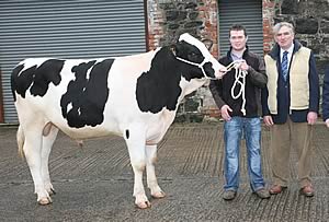 Mullaugher Samson