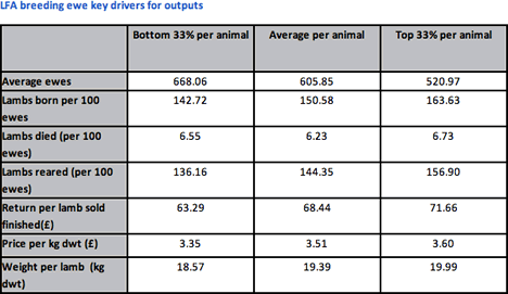 LFA breeding ewe key drivers for outputs
