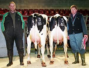 Craven Dairy Auction champion