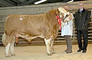 Scribby Farms Barney