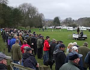 Spring Sale of 78 working collies and pups at The Hammerlands Centre