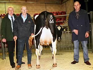 Craven Dairy Auction champion