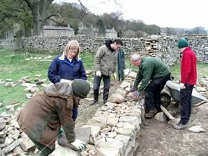 Dry Stone Walling