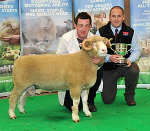 Ben Lamb of Lime Tree Farm, Richhill, Co Armagh, with his horned shearling ram Richhill Peter, the show&rsquo;s overall champion which sold for 3,400gns to Ross May of Exeter, and Mark Davies of auctioneers Kivells and Husseys.