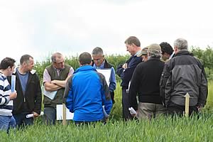 Agrii crop trials