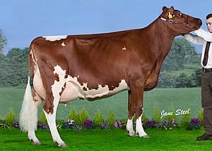 Troutbeck Antic 17