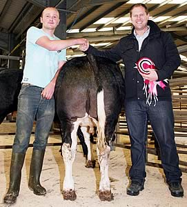 prime beef champion