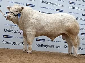 Blackford Gladiator at 17,000gns