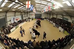 Borderway Agri-Expo