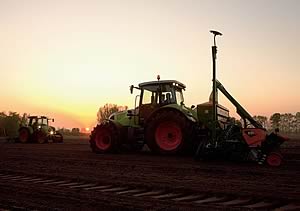 Amazone ED precision seeder
