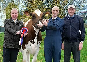Langside Blaeberry 112