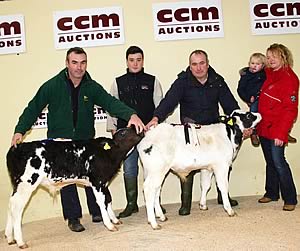 Christmas calf show champion