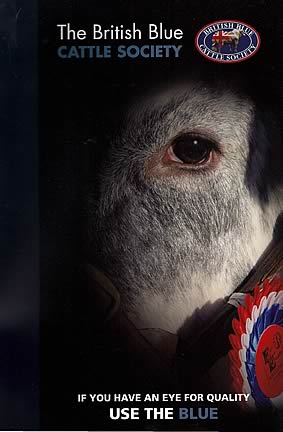 If you have you an eye for Quality