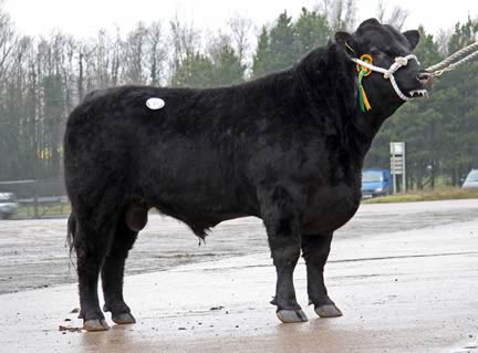 Sess Eon L567