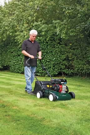 Hayter Scarifier