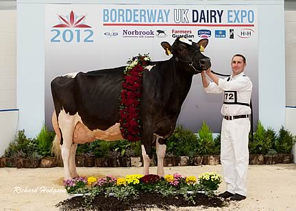 2012 Champion of Champions winner Weeton Lheros A Balise shown by Mike Helliwell, bred by Andrew and Pat Wilson