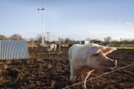 Windcrop turbine at smallholding