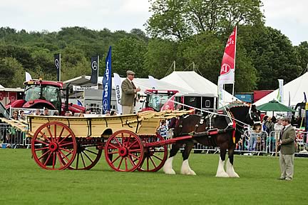 Northumberland County Show