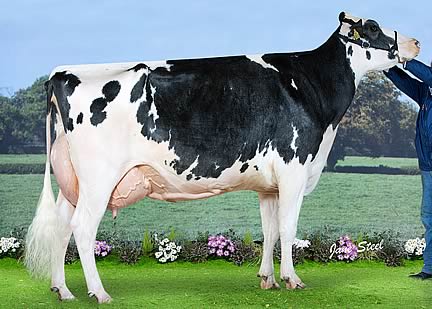 Hilltara Zenith Echo EX93