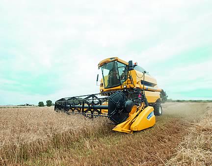 Harvesting Wheat