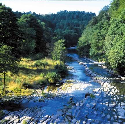 River Allen from Cupola Bridge