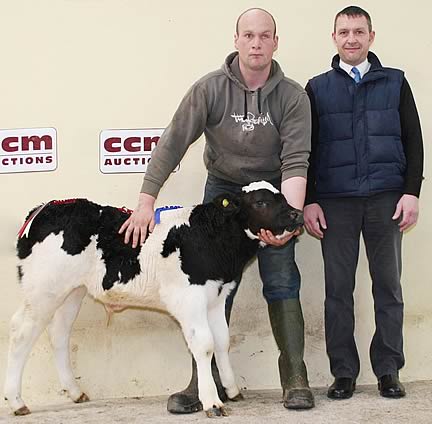 Joe Ogden with his uncle Andrew Odgen’s CCM Skipton May rearing calf champion, joined by BOCM Pauls’ Phil Coleman