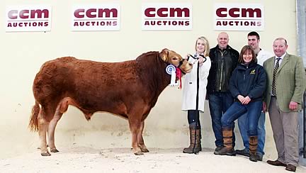 The Kelly family with their Craven Limousin Day reserve supreme champion junior bull, which sold for the day’s top price of 5,000gns, joined by judge Harry Emslie, right.