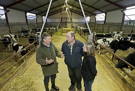 Lurgan veal producer John Toland with vet Mairead O’Grady and Ian Graham, left, of MSD Animal Health.
