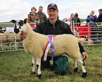 Roman Wall Show Supreme Champion