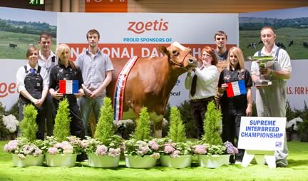 Interbreed Champion - Loukat Lucky