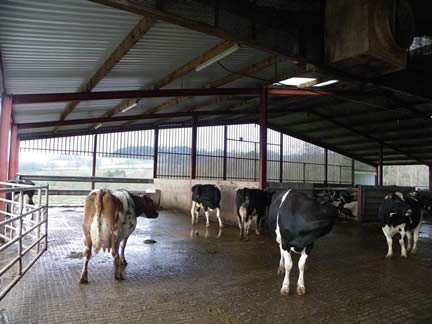 Highlight – a perforated metal wall that you can see through