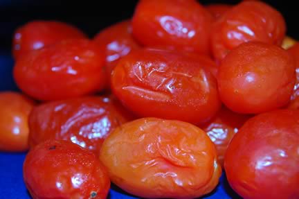 rotting tomatoes